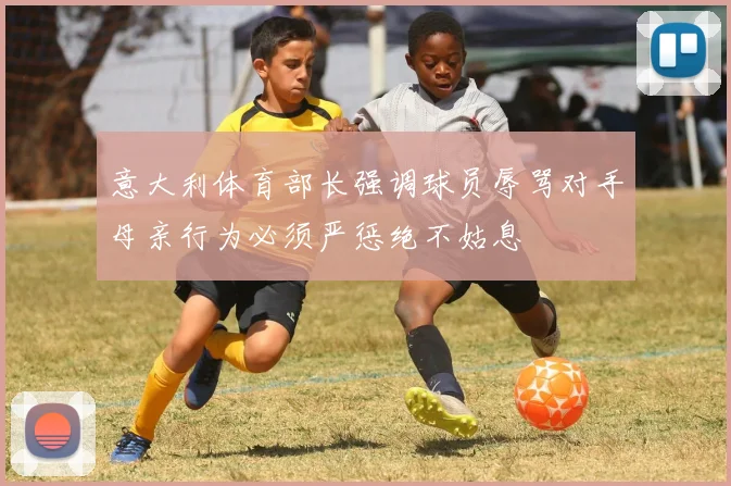 意大利体育部长强调球员辱骂对手母亲行为必须严惩绝不姑息