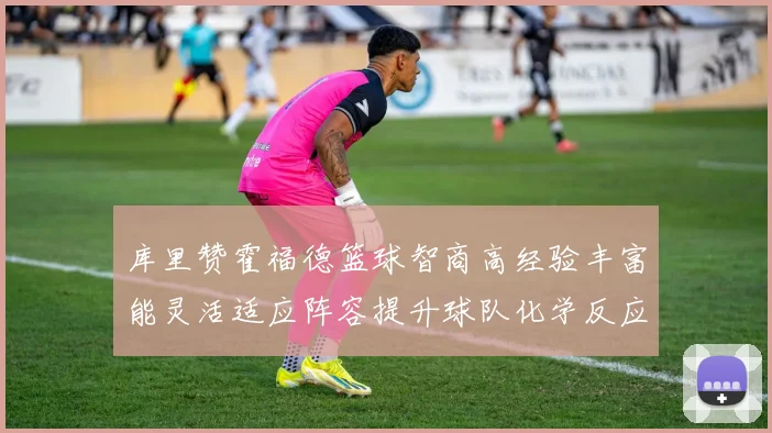 库里赞霍福德篮球智商高经验丰富能灵活适应阵容提升球队化学反应
