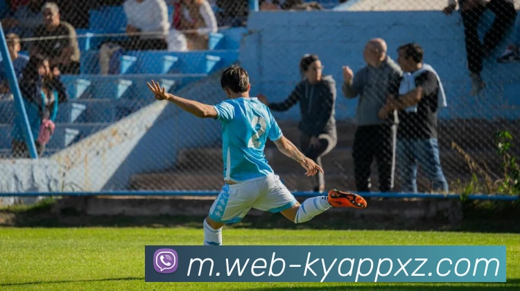 开云体育APP 高清赛事图